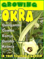 Growing Okra in your vegetable garden
