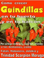 Como crecer guindillas en tu huerto y en tu balcón