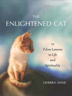 The Enlightened Cat