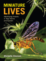 Miniature Lives: Identifying Insects in Your Home and Garden