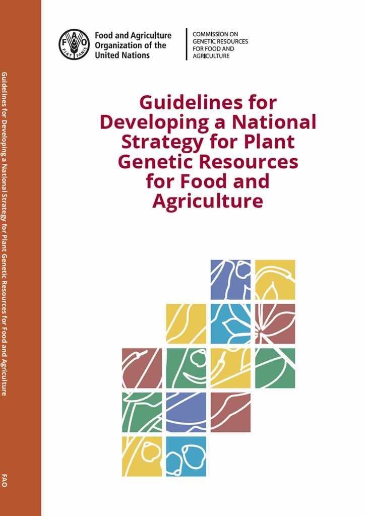 Read Guidelines For Developing a National Strategy for