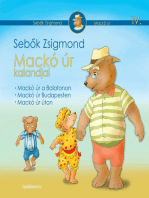 Mackó úr kalandjai IV. kötet