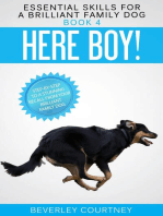 Here Boy! Step-by-step to a Stunning Recall from your Brilliant Family Dog