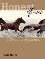 Honest Horses: Wild Horses In The Great Basin