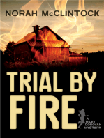 Trial by Fire: A Riley Donovan mystery