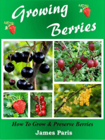 Growing Berries - How To Grow and Preserve Berries