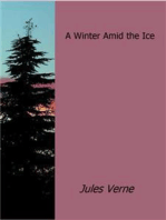 A Winter Amid the Ice