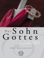 Der Sohn Gottes: Betrachtungen zum Johannesevangelium