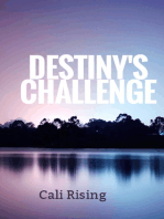 Destiny's Challenge