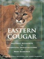 Eastern Cougar: Historic Accounts, Scientific Investigations, New Evidence