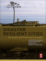 Disaster Resilient Cities: Concepts and Practical Examples