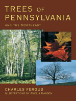 Trees of Pennsylvania: and the Northeast