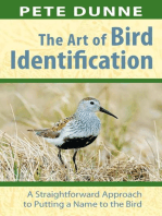 The Art of Bird Identification