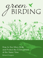 Green Birding: How to See More Birds and Protect the Environment at the Same Time