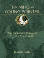 Training a Young Pointer: How the Experts Developed My Bird Dog and Me