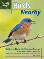 Birds Nearby: Getting to Know 45 Common Species of Eastern North America