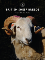 British Sheep Breeds