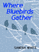 Where Bluebirds Gather