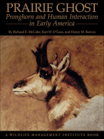 Prairie Ghost: Pronghorn and Human Interaction in Early America