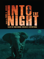 Into the Night