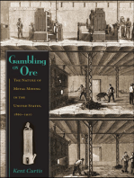 Gambling on Ore: The Nature of Metal Mining in the United States, 1860–1910