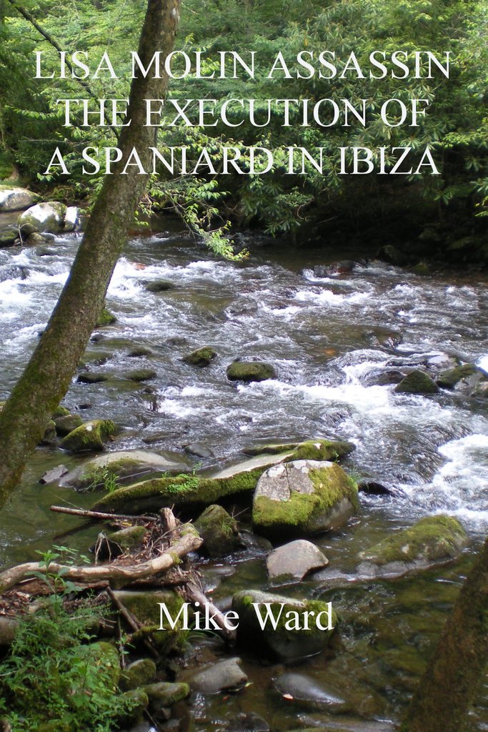 Lisa Molin Assassin: The Execution of a Spaniard in Ibiza by Mike Ward ...