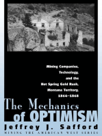 The Mechanics of Optimism