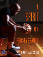 A Spirit of Perseverance