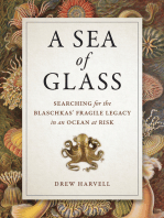 A Sea of Glass: Searching for the Blaschkas' Fragile Legacy in an Ocean at Risk