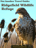 Ridgefield Wildlife Refuge: Not Another Travel Guide