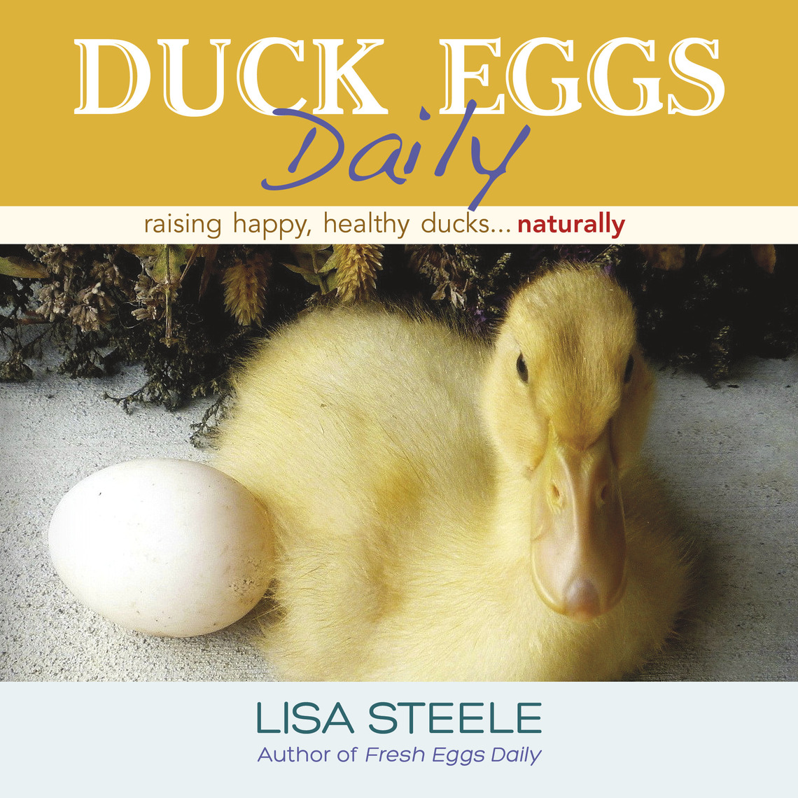Duck Eggs Daily by Lisa Steele Book Read Online