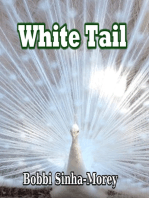White Tail