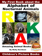 My First Book about the Alphabet of Nocturnal Animals