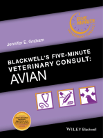 Blackwell's Five-Minute Veterinary Consult: Avian