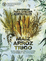 Ahorrar para crecer en la práctica: maíz, arroz, trigo: Guía para la producción sostenible de cereales