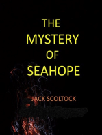 The Mystery of Seahope