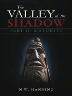 The Valley of the Shadow Part II: Maturity