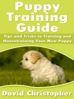 Puppy Training Guide