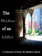 The Shadow of an Addict: A Collection of Poetry