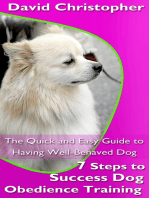 7 Steps to Success Dog Obedience Training