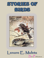 StoriesÂ ofÂ Birds