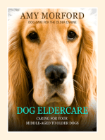 Dog Eldercare: Caring For Your Middle-Aged To Older Dog