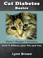 Cat Diabetes Basics