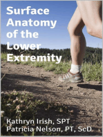 Surface Anatomy of the Lower Extremity