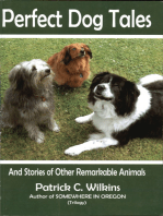 Perfect Dog Tales