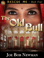 The Old Bull