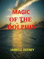 Magic of the Dolphin