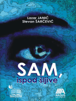 Sam Ispod Šljive