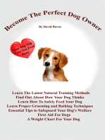 Become The Perfect Dog Owner