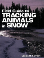 Field Guide to Tracking Animals in Snow: How to Identify and Decipher Those Mysterious Winter Trails